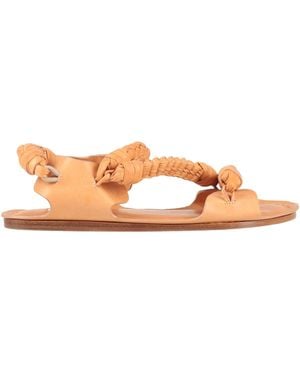 Jil Sander Sandalias - Marrón