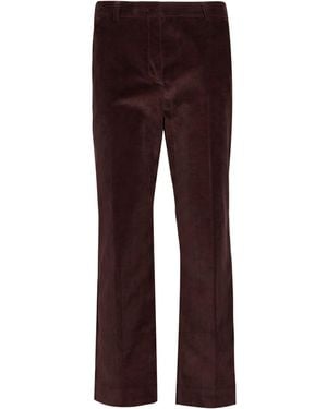 Weekend by Maxmara Pants Cotton, Elastane - Purple