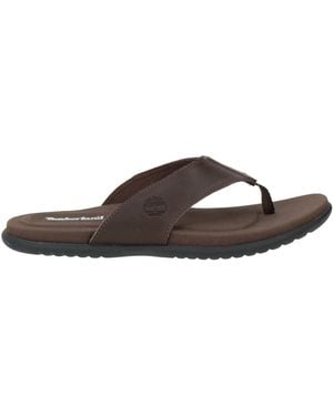 Timberland Dark Thong Sandal Leather - Brown
