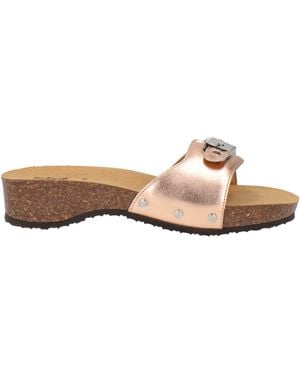 Scholl Sandalias - Neutro