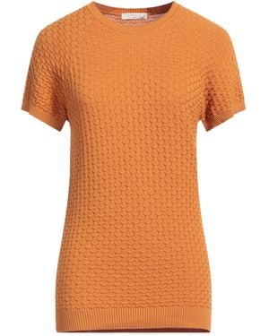 Circolo 1901 Pullover - Orange