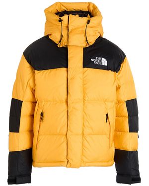 The North Face Pufferjacke & Daunenjacke - Gelb