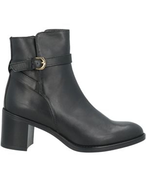 Minelli Botines de caña alta - Negro