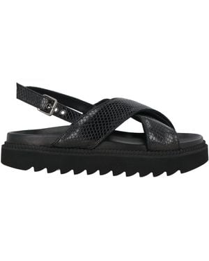 Free Lance Sandals Leather - Black