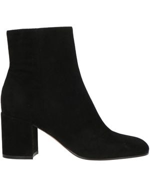 Gianvito Rossi Ankle Boots - Black