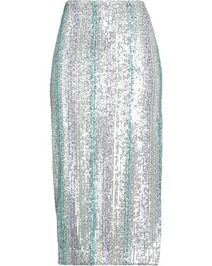 Isabelle Blanche Midi Skirt - Blue