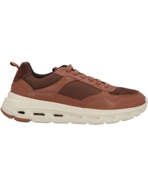 Geox Sneakers - Braun