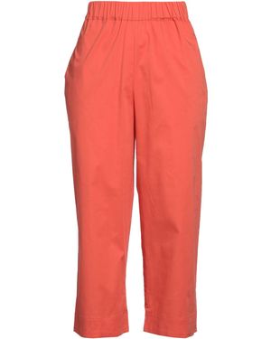 Rose' A Pois Hose - Rot