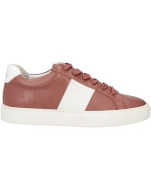 National Standard Sneakers - Braun