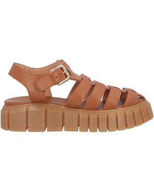 Pollini Tan Sandals Leather - Brown
