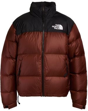 The North Face Plumífero Y Acolchado - Marrón