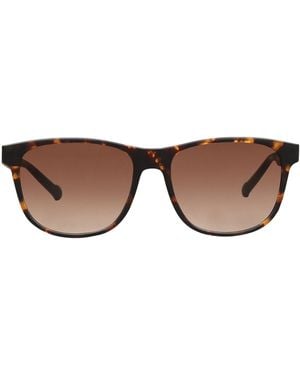 adidas Sunglasses - Brown