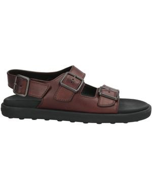Tod's Sandals - Brown