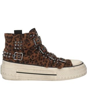 Ash Trainers Leather - Brown