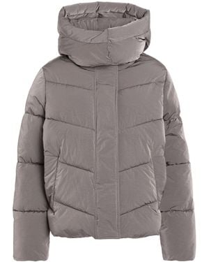 Calvin Klein Pufferjacke & Daunenjacke - Grau