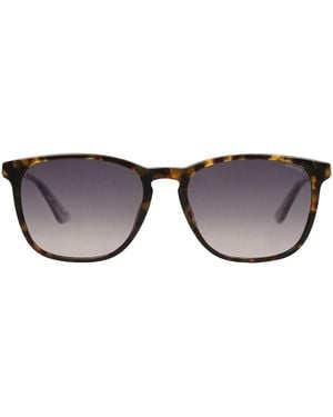 Police Sunglasses - Black