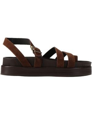 Divine Follie Thong Sandal Leather - Brown