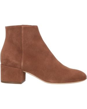 Sergio Rossi Ankle Boots - Brown