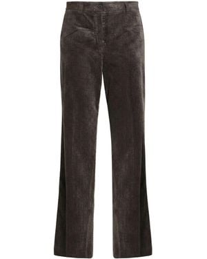 Antonelli Charcoal Pants Cotton, Modal, Elastane - Gray