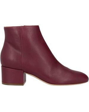 Sergio Rossi Ankle Boots Leather - Purple