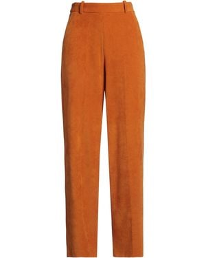 Circolo 1901 Trouser - Orange