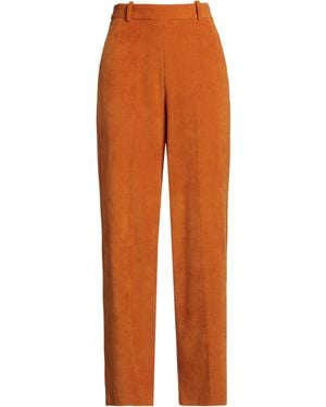 Circolo 1901 Trouser - Orange