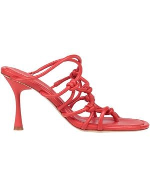 STUDIO AMELIA Thong Sandal - Pink