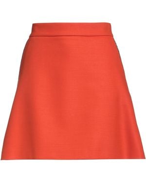 Fabiana Filippi Mini Skirt - Red