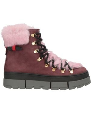 Pollini Stiefelette - Braun