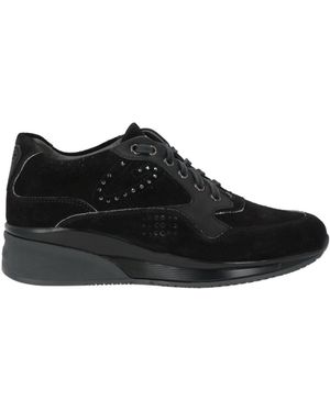 Alberto Guardiani Trainers Leather - Black