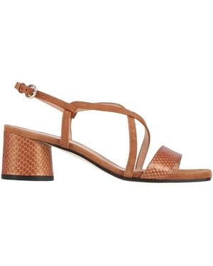 Pollini Sandals - Brown