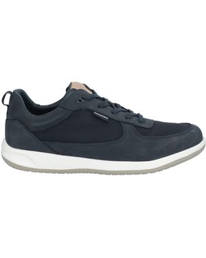 Docksteps Trainers - Blue