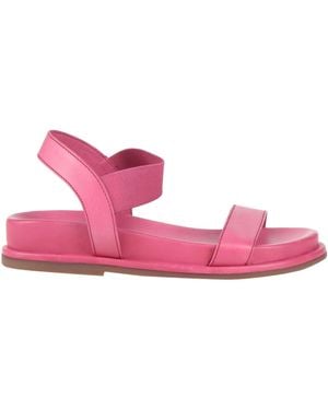 CafeNoir Fuchsia Sandals Leather - Pink