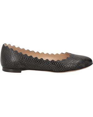 Chloé Ballet Flats Leather - Gray