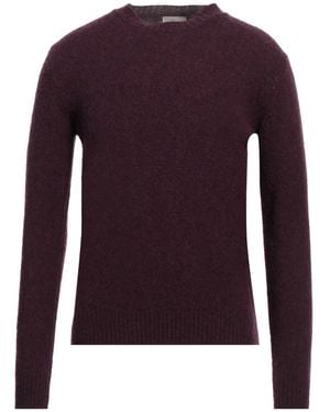 Altea Plum Sweater Virgin Wool - Purple