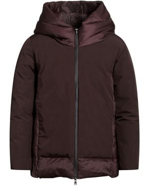 Canadian Puffers - Brown