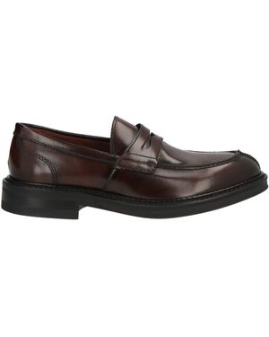 Marco Ferretti Loafer - Brown