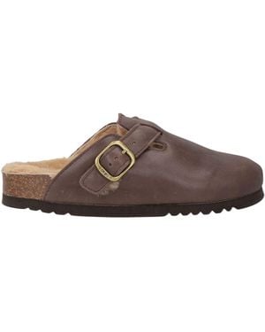 Scholl Mules & Clogs - Brown
