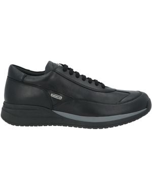 Cesare Paciotti Trainers - Black