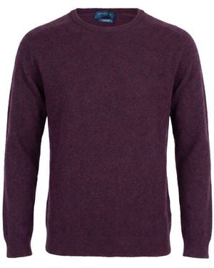 Daniele Fiesoli Jumpers - Purple