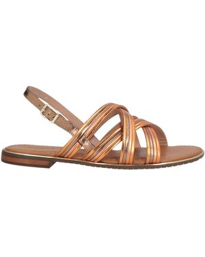 Geox Sandals - Brown