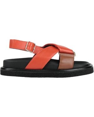 Seboy's Sandals - Red
