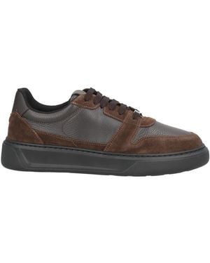 Baldinini Trainers Leather - Brown