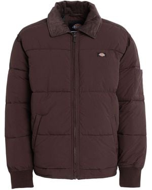 Dickies Piumino & Imbottito Sintetico - Marrone