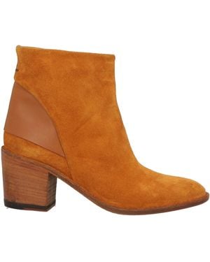 Pantanetti Ankle Boots - Brown