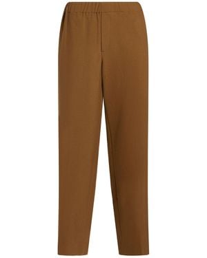Sandro Pants Polyester, Viscose, Elastane - Brown