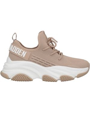 Steve Madden Sneakers - Gris