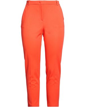 Pinko Trouser - Red