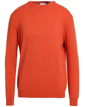 Stilosophy Sweaters - Orange