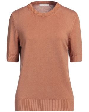 Circolo 1901 Pullover - Marrón